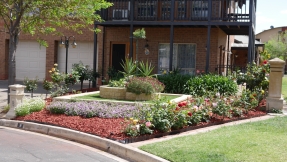 Runner Up Medium Garden - Greentree Place